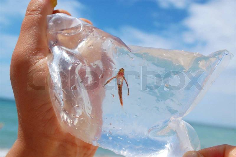 Small golden fish in a plastic bag against the sky just caught by a child in the sea, stock photo