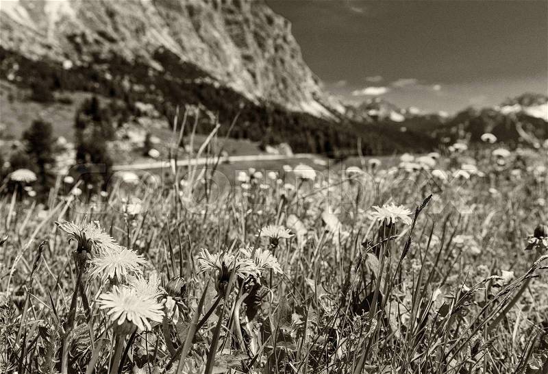 Stunning alpin landscape in summer season, Italian Dolomites, stock photo