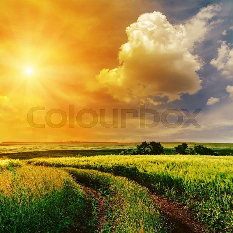 Orange sunset in dramatic sky over road in green grass, stock photo