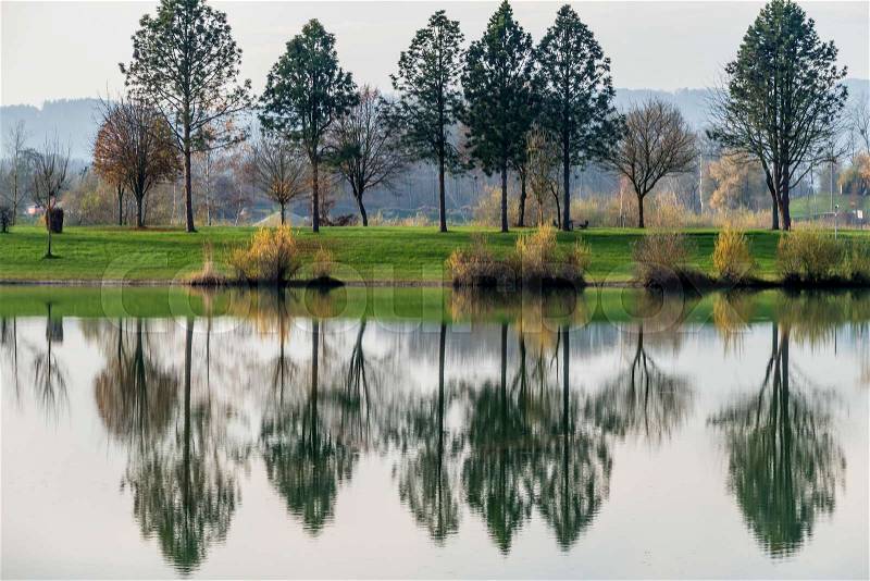 Trees reflecting in the lake, the symbol of melancholy, meditation, relaxation, stock photo