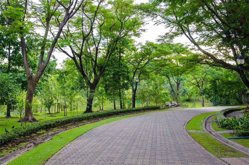 Pedestrian walkway for exercise with trees in park, stock photo
