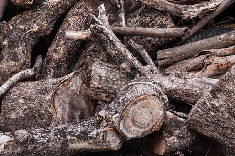 Tree stumps and felled forest deforestation, stock photo