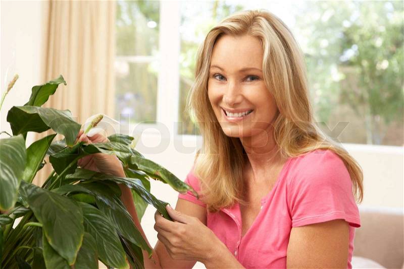 Woman At Home Looking After Houseplant, stock photo