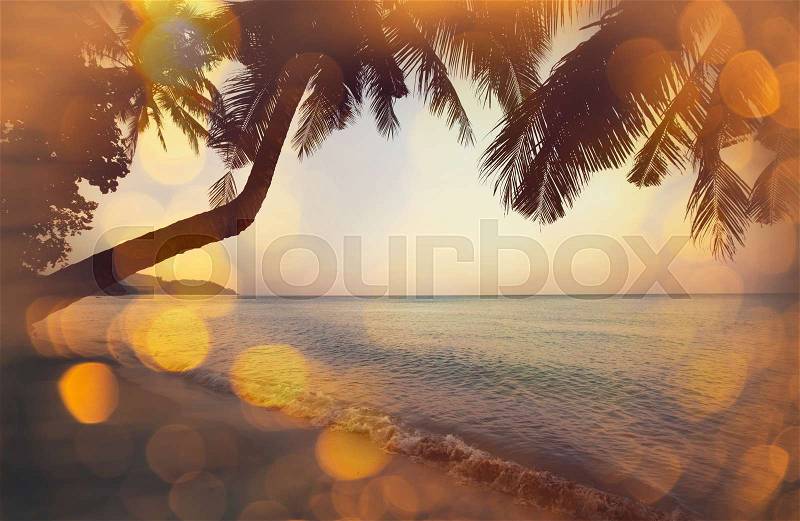 Serenity tropical beach, stock photo