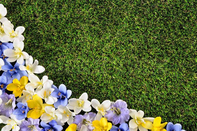 Spring or summer border background with grass and flowers. Space for copy, stock photo