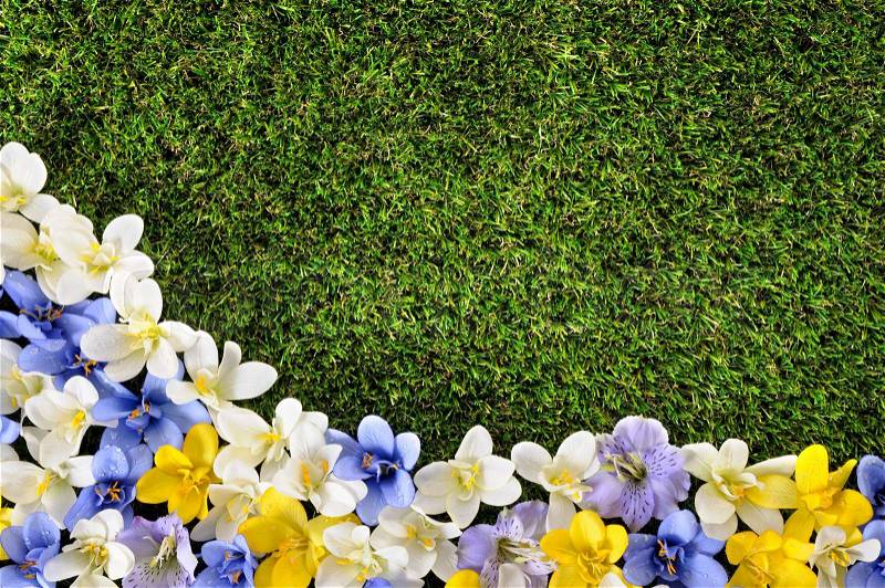 Spring or summer border background with grass and flowers. Space for copy, stock photo