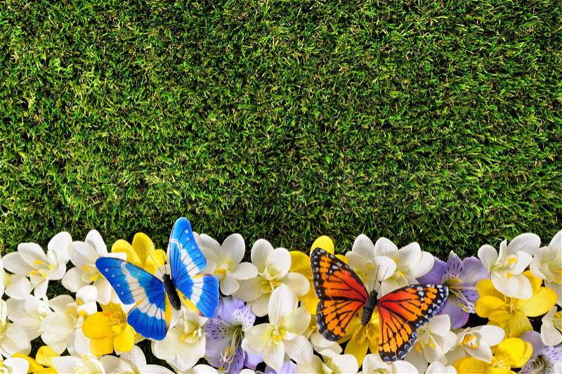 Spring or summer border background with flowers, grass and butterflies. Space for copy, stock photo