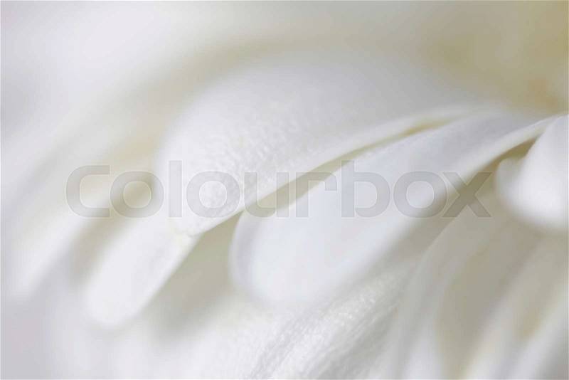 Soft focus flower background with copy space. Made with lens-baby and macro-lens, stock photo
