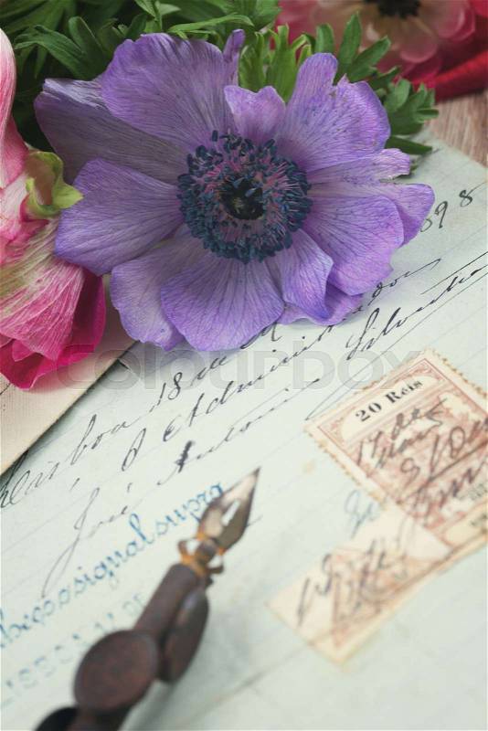 Old retro golden quill pen and antique letters with anemones, focus on flowers, retro toned, stock photo