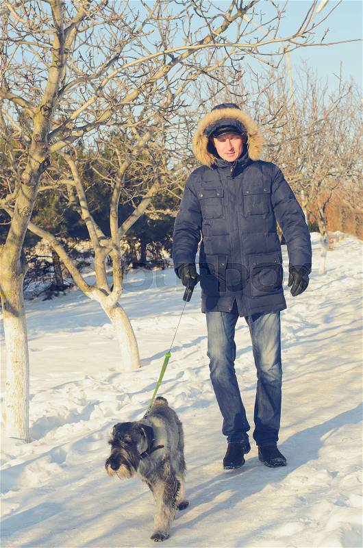 Man walking his dog on a snowy path in winter posing for the camera with the schnauzer sitting at his feet in the sunshine, stock photo