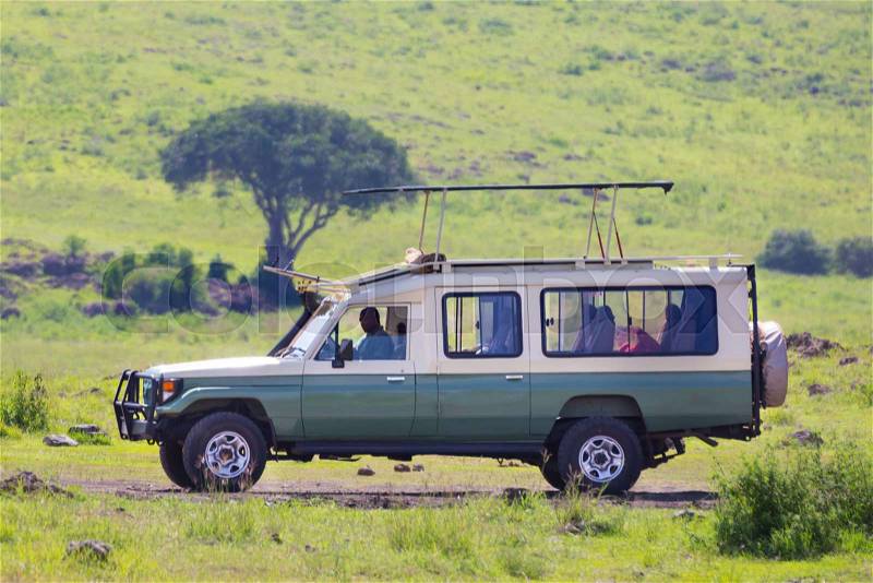 safari car open roof
