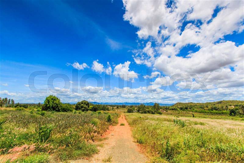 Landscape the road in rural areas, stock photo