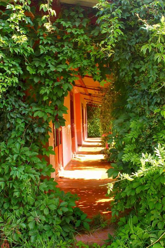 Entrance in rural hotel, overgrown lianes, stock photo