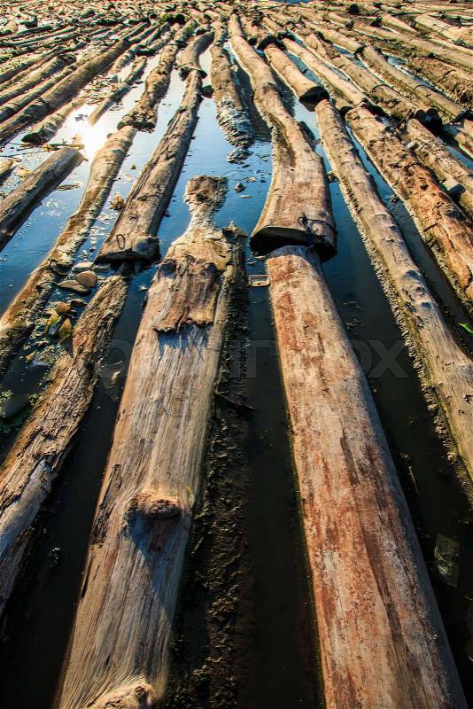 Pile of wood be immersed in water - landscape exterior, stock photo