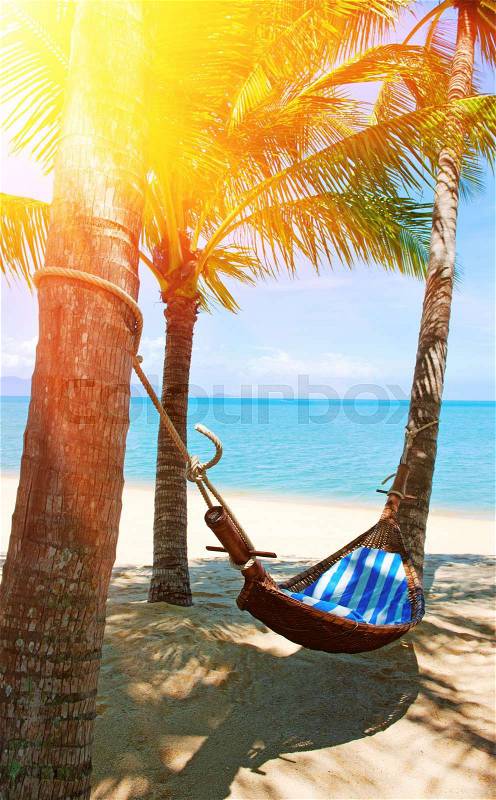 Empty hammock between palms trees at sandy beach, stock photo