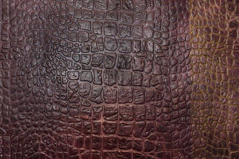 Texture of crocodile skin, stock photo