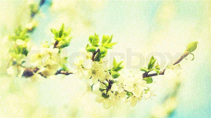 Beauty spring backgrounds with apple tree flowers, fine art simulation from real photo, stock photo