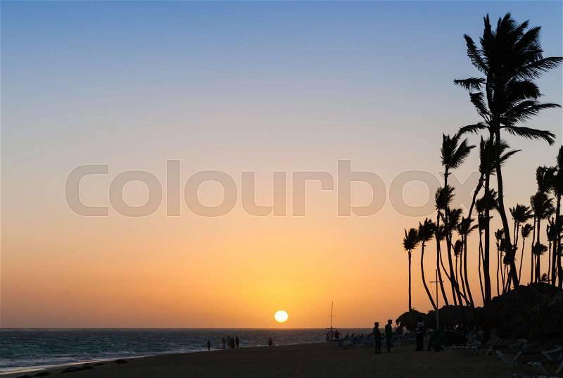 Sunrise landscape on Atlantic ocean coast with palm trees silhouettes. Hispaniola island, Dominican republic, stock photo
