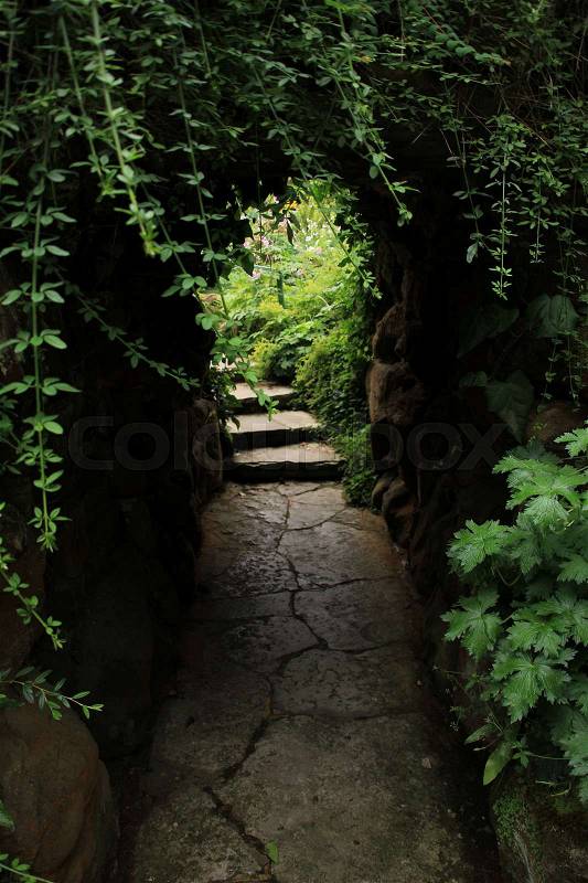 Green hanging plants and a stairway in Compton Acres in England in the summer, stock photo
