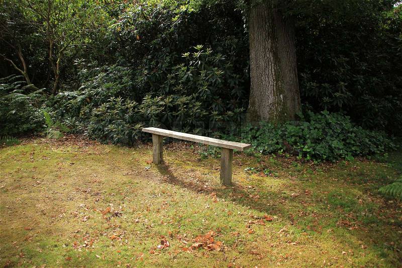 A simply bench in the grass in Exbury Garden in the summer in England, stock photo