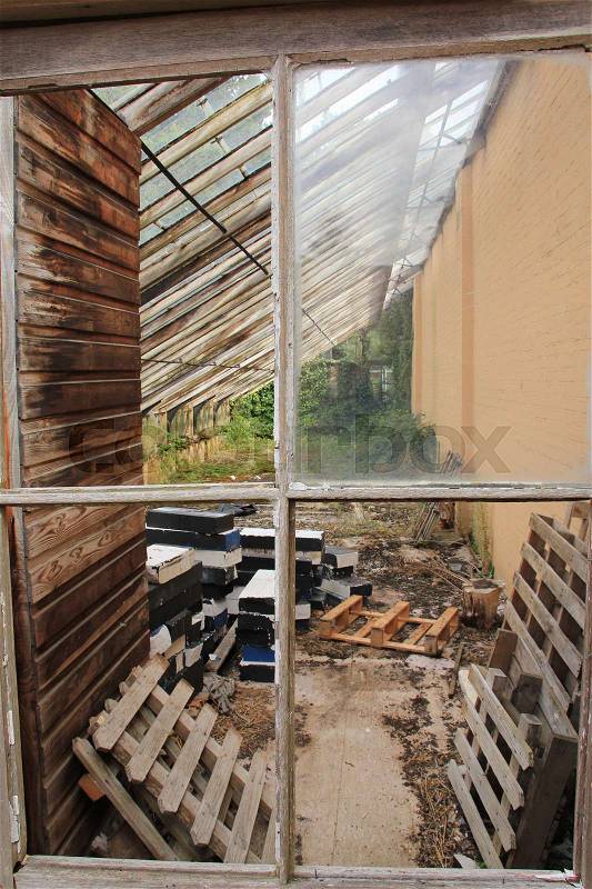 Broken windows in the old greenhouse with waste and in the background growing plants in Exbury Garden in the summer in England, stock photo