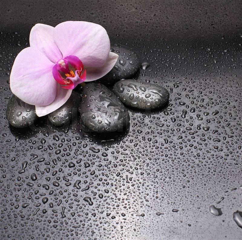 Stock image of \'spa, rock, flower\'