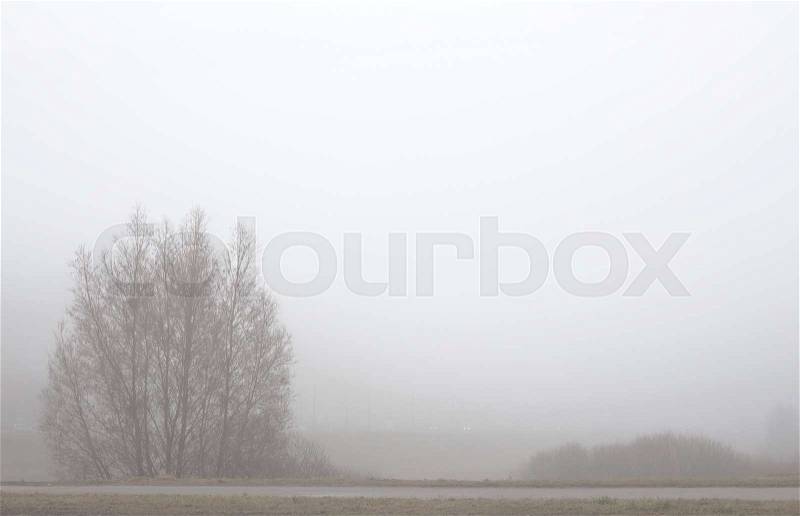 Foggy cold weather, walking paths among fields, stock photo