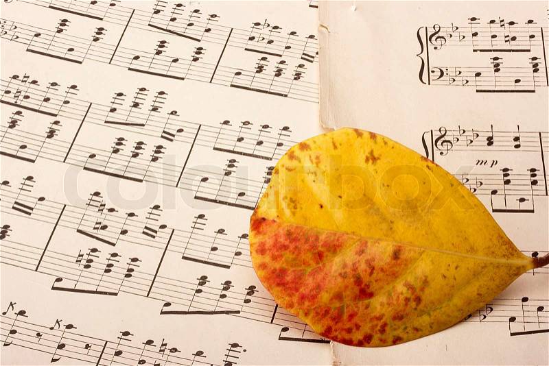 Theme music, old music with a yellow leaf rot, stock photo