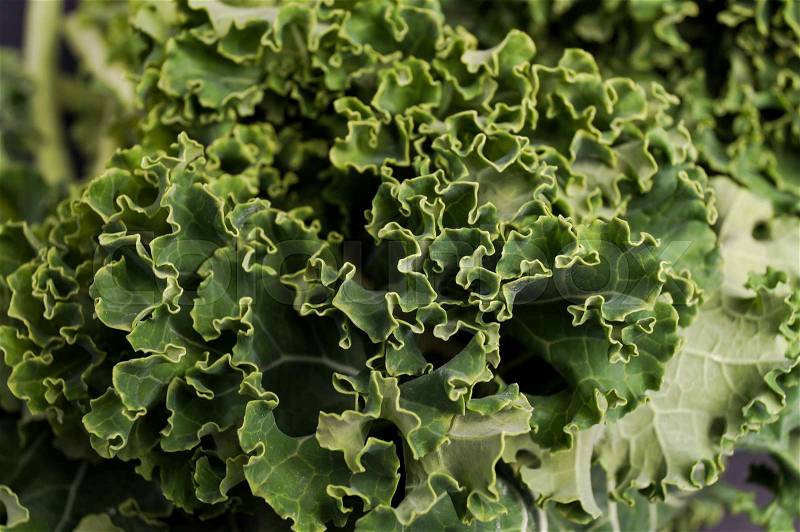 Super Healthy Organic Kale, close up, background, stock photo