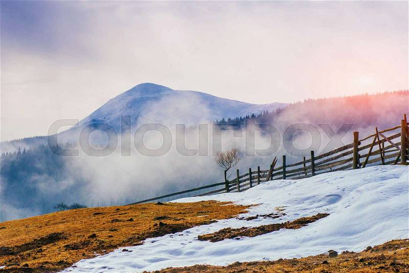 The beginning of spring in the mountains, stock photo