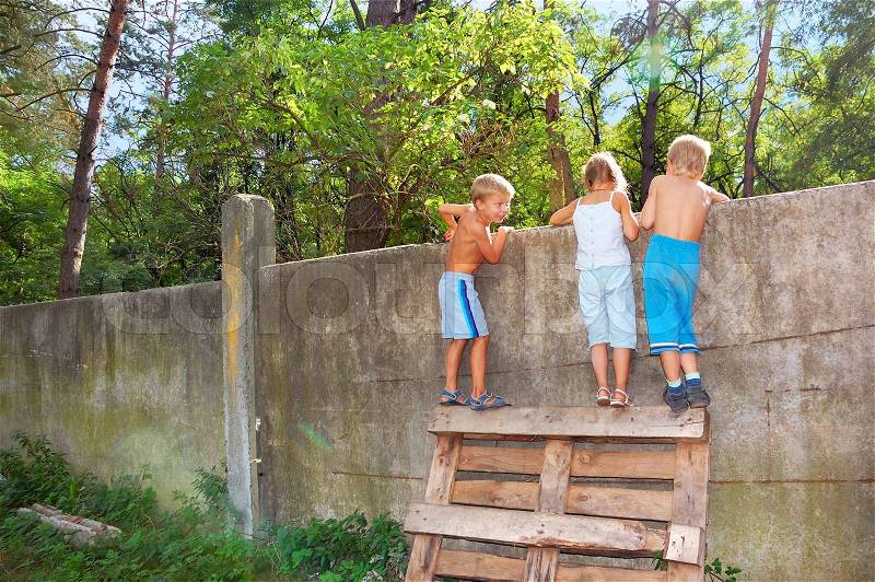 Three 5-6 year old kids looking over the fence, stock photo