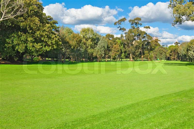 Landscape of a green golf field near the city, stock photo
