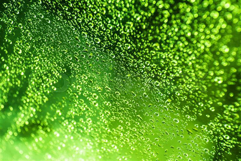 Green Water Beads Background. Wet Glass Photo Background, stock photo