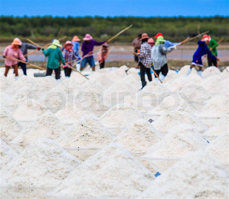 Salt fields - sea salt in Thailand, stock photo