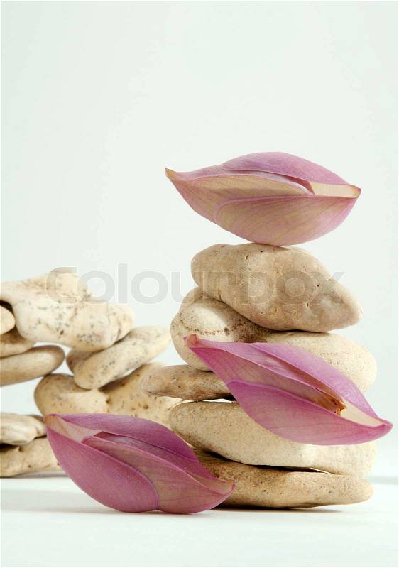 Decorating of wild stones by violet colors, stock photo