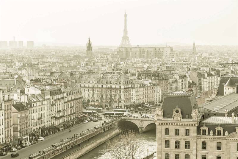 View of Paris from Notre Dame Cathedral, stock photo