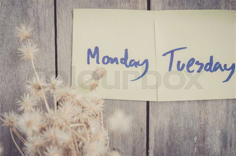 Vintage style effect Sunday Monday Tuesday Wednesday Thursday Friday and Saturday message on corkboard with flowers by wooden background, stock photo