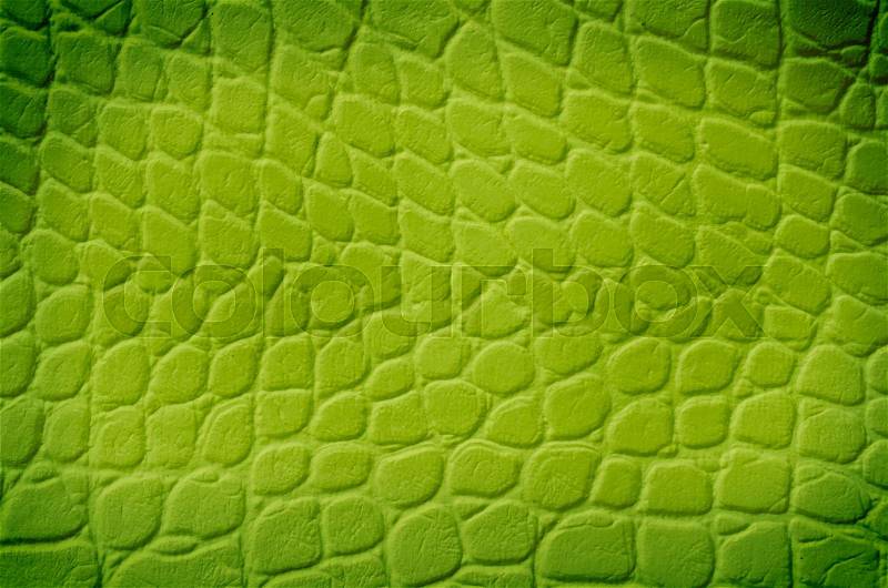 Green snake texture with space for text, stock photo