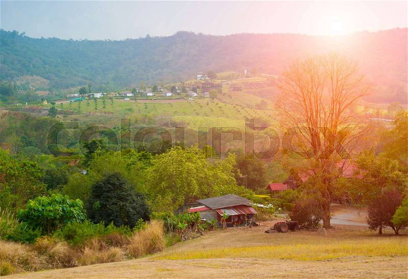 House in forest, house made of natural materials in Wang Nam Keaw district, Thailand, stock photo