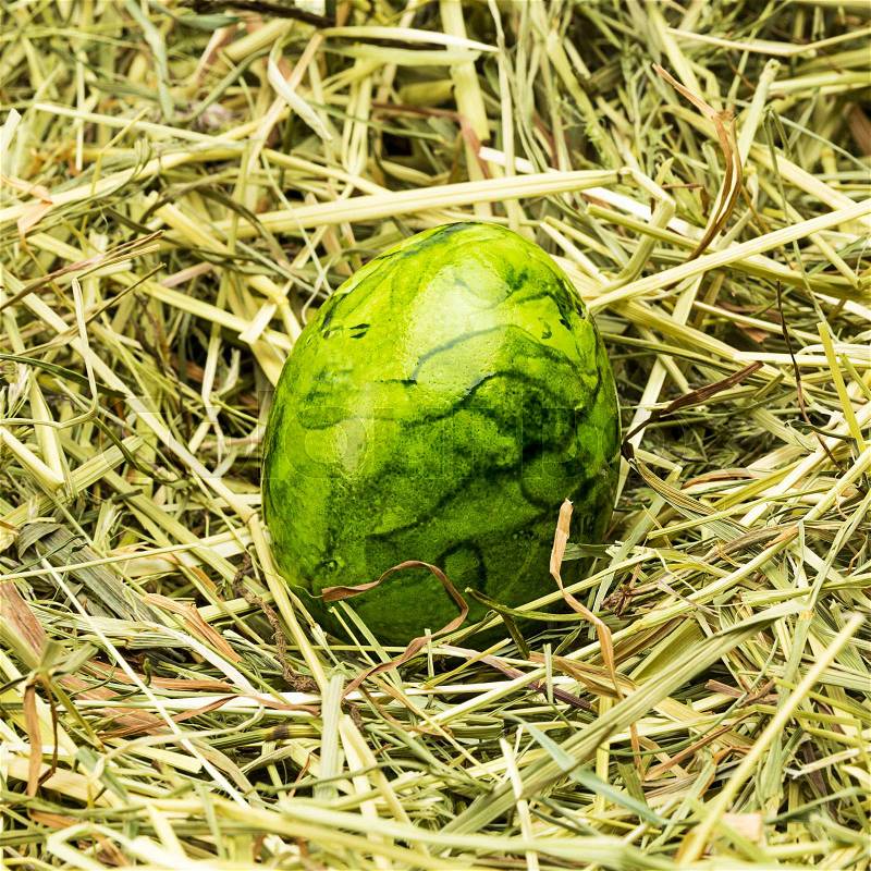 A single green easter egg in a hay nest. Taken in Studio with a 5D mark III, stock photo