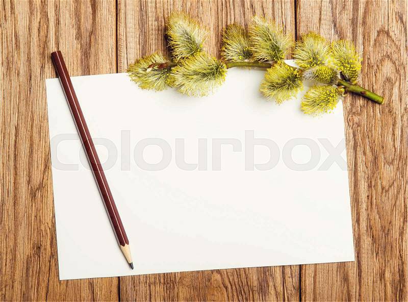 Willow catkin, pencil and paper blank on the old wooden table , stock photo