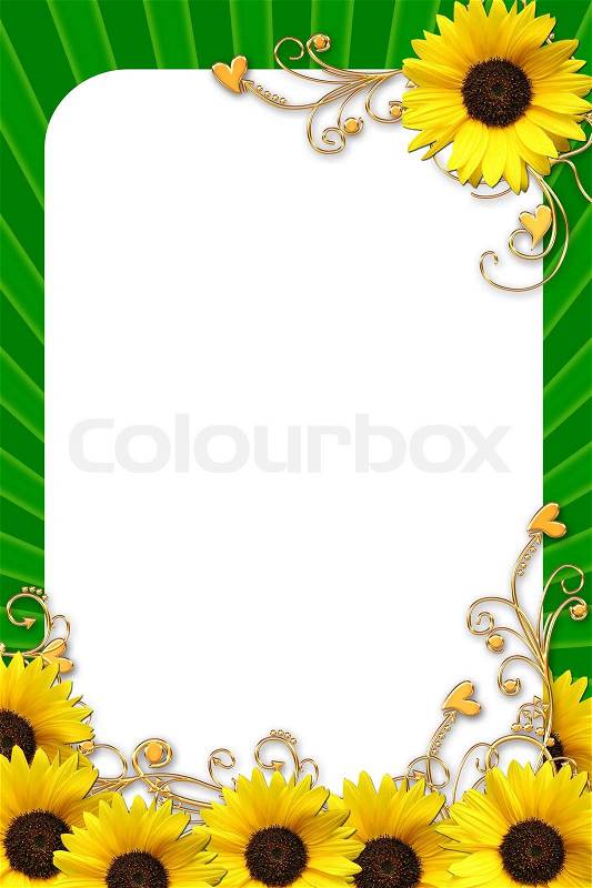 Green framework for photos with sunflowers, stock photo