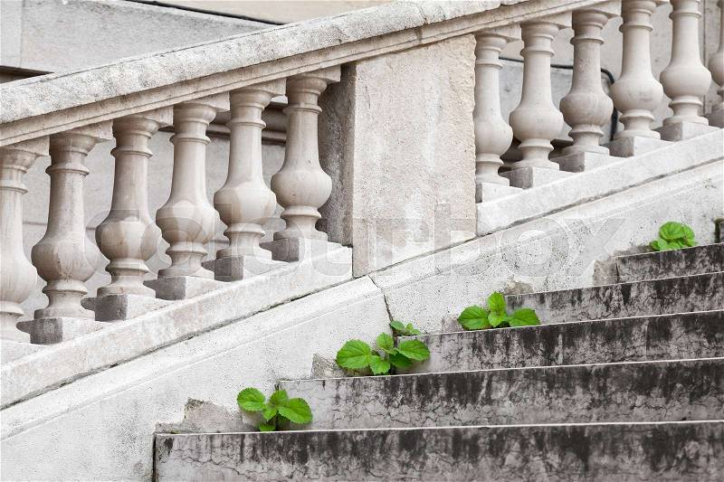 Small green plants grow through old stone stairs in a park of Paris, France, stock photo