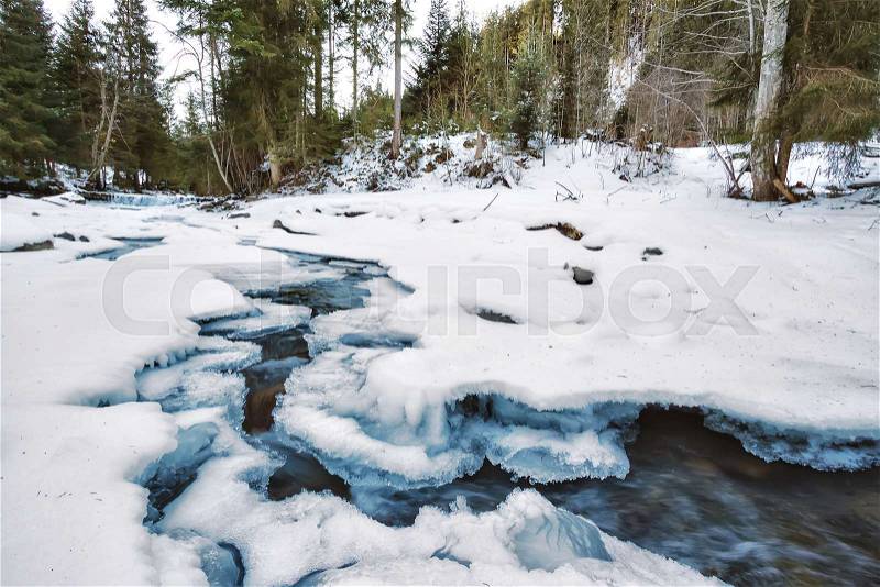 Mountain river under the ice against the backdrop of green firs, stock photo