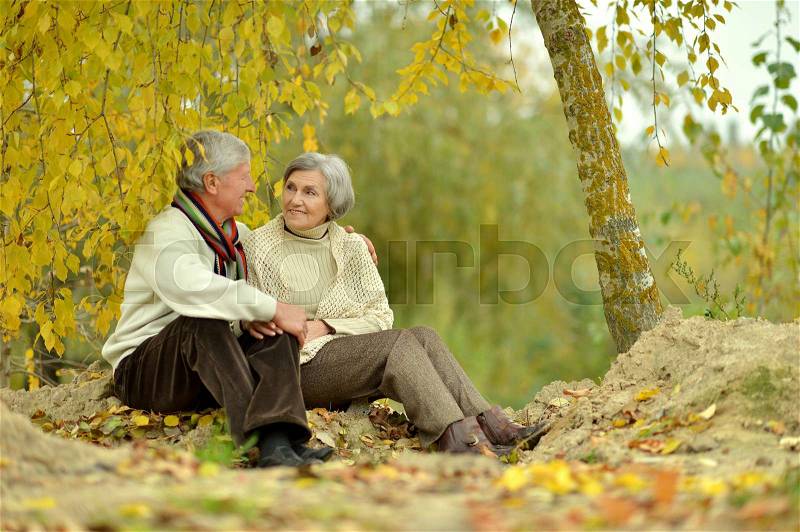 Happy elderly couple sitting in autumn park, stock photo
