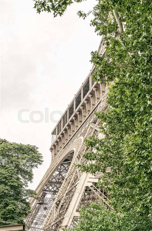 La Tour Eiffel, Paris. Landmark surrounded by trees in summer, stock photo