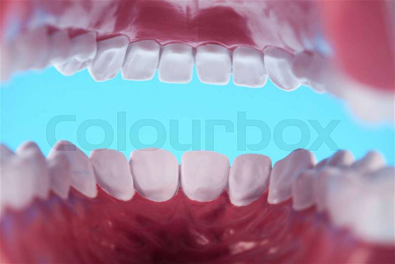 Anatomy of the tooth, bright colorful tone concept, stock photo