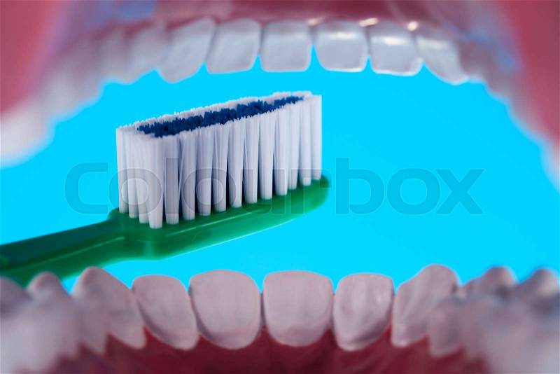 Anatomy of the tooth, bright colorful tone concept, stock photo