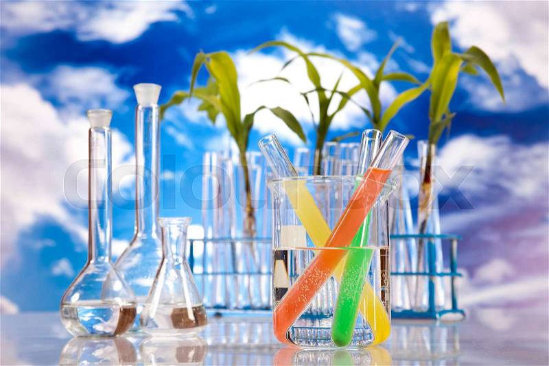 Science experiment with plant laboratory, stock photo
