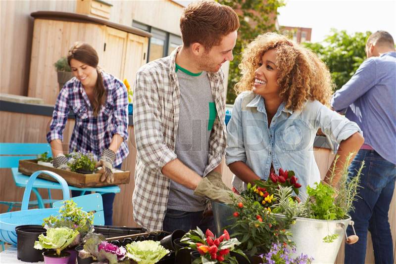Group Of Friends Planting Rooftop Garden Together, stock photo